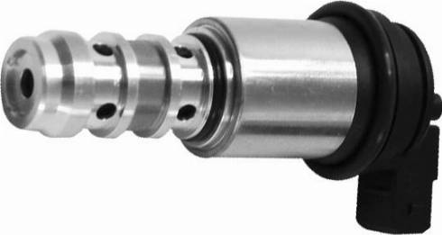 Bugiad BMS54542 - Регулирующий клапан, выставление распределительного вала abcparts.ee