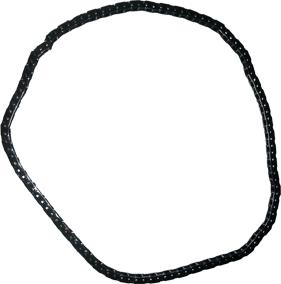 Bugiad BSP24576 - Цепь привода распредвала abcparts.ee