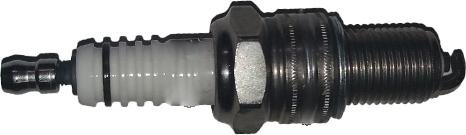 Bugiad BSP24723 - Свеча зажигания abcparts.ee