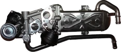 Bugiad BSP25012 - Клапан возврата ОГ abcparts.ee