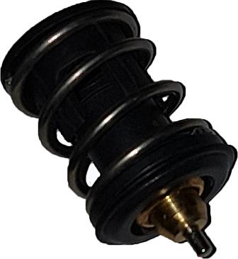 Bugiad BSP25071 - Термостат охлаждающей жидкости / корпус abcparts.ee