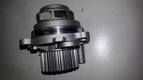 Bugiad BSP20041 - Водяной насос abcparts.ee