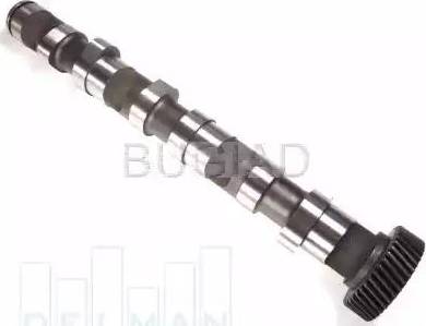 Bugiad BSP23272 - Распредвал abcparts.ee