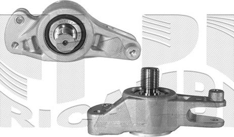 Caliber 46366 - Натяжитель, поликлиновый ремень abcparts.ee