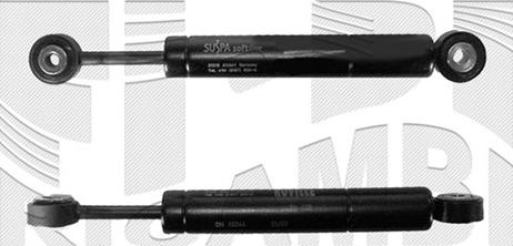 Caliber 57868 - Виброгаситель, поликлиновый ремень abcparts.ee