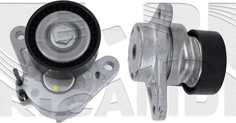 Caliber 89114 - Натяжитель, поликлиновый ремень abcparts.ee