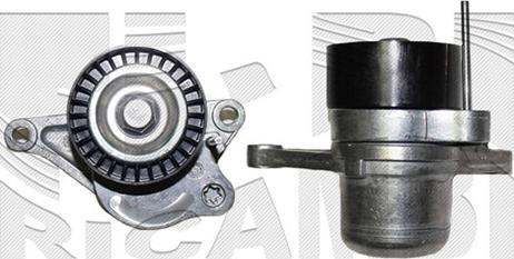 Caliber 88424 - Натяжитель, поликлиновый ремень abcparts.ee