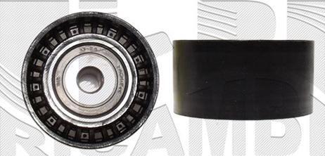 Caliber 87802 - Ролик, поликлиновый ремень abcparts.ee