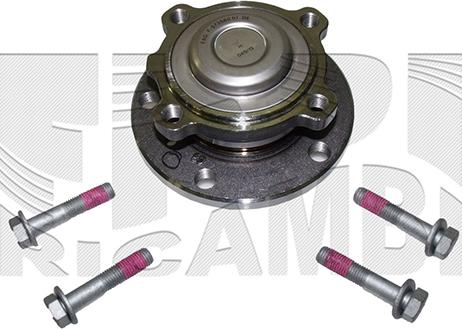 Caliber RC4953 - Комплект подшипника, ступицы колеса abcparts.ee