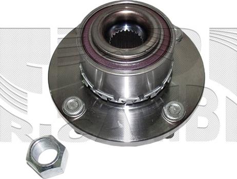 Caliber RC1977 - Комплект подшипника, ступицы колеса abcparts.ee