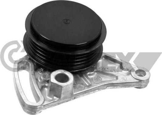 Cautex 460982 - Ролик, поликлиновый ремень abcparts.ee