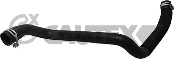 Cautex 753812 - Шланг радиатора abcparts.ee