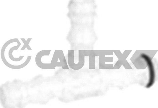 Cautex 767161 - Adapter,klaasipesupump- tulepesurid abcparts.ee