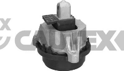 Cautex 776193 - Подушка, опора, подвеска двигателя abcparts.ee