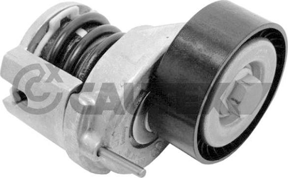 Cautex 771086 - Ремонтный комплект, рычаг натяжки поликлинового ремня abcparts.ee