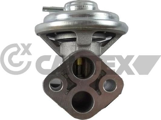 Cautex 772503 - Клапан возврата ОГ abcparts.ee