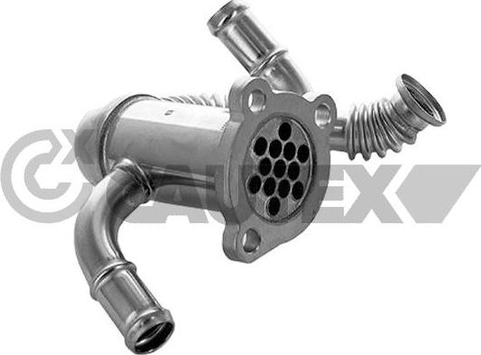 Cautex 772643 - Радиатор, рециркуляция ОГ abcparts.ee