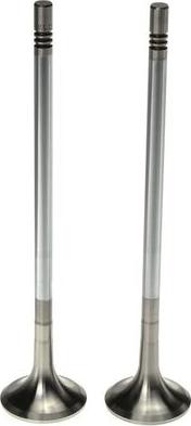 Clevite 211-4308 - Выпускной клапан abcparts.ee