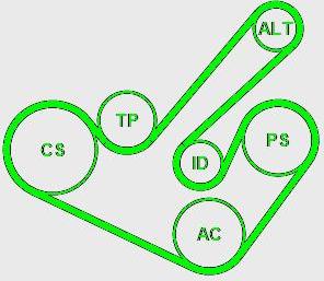 CONTINENTAL 6PK1555K9 - Поликлиновый ременный комплект abcparts.ee