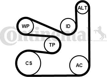 CONTINENTAL 6PK1660WP2 - Водяной насос + комплект ручейковых ремней abcparts.ee