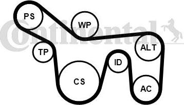 CONTINENTAL 6PK1715WP2 - Водяной насос + комплект ручейковых ремней abcparts.ee