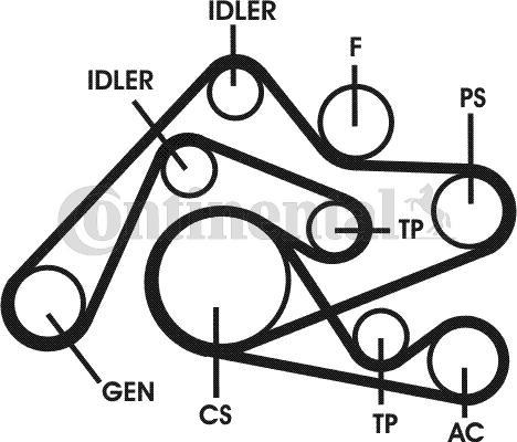 CONTINENTAL 6PK2404D1 - Поликлиновый ременный комплект abcparts.ee