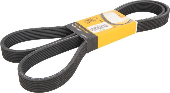 CONTINENTAL 8 DPK 1833 - Поликлиновой ремень abcparts.ee