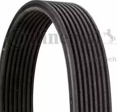 CONTINENTAL 8DPK1827 - Поликлиновой ремень abcparts.ee