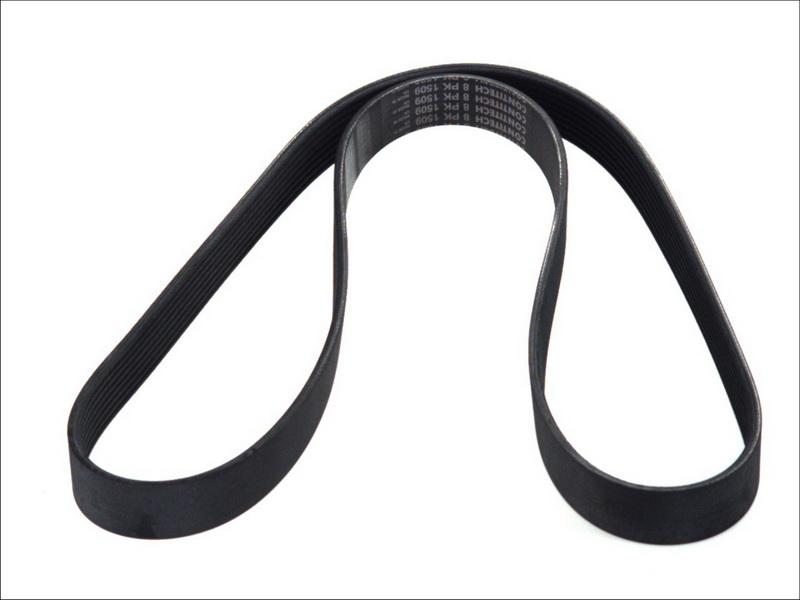 CONTINENTAL 8PK1509 - Поликлиновой ремень abcparts.ee