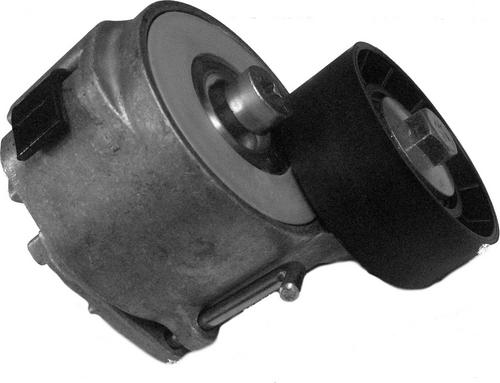 CORAM CT1002 - Натяжитель, поликлиновый ремень abcparts.ee