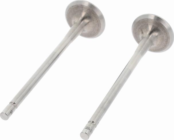 Corteco 551724B - Выпускной клапан abcparts.ee