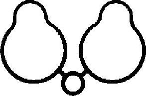 Corteco 026458H - Прокладка, впускной коллектор abcparts.ee