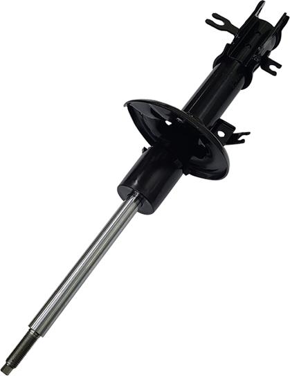 CTR GY0287O - Амортизатор abcparts.ee