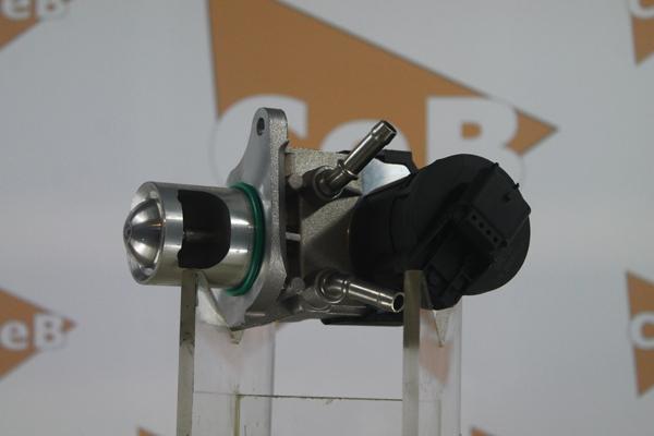 DA SILVA GR6156 - Клапан возврата ОГ abcparts.ee