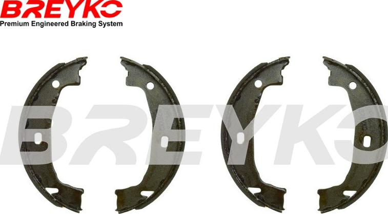 DAVID VASCO W8432 - Комплект тормозных колодок, барабанные abcparts.ee