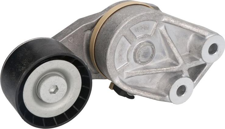 Dayco APV1117 - Натяжитель, поликлиновый ремень abcparts.ee