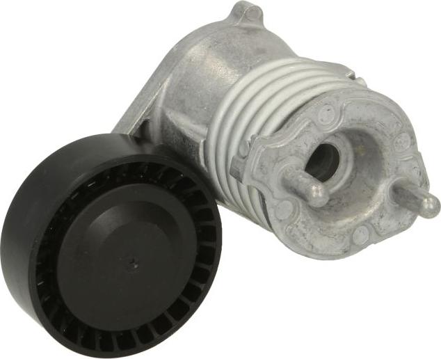 Dayco APV3019 - Натяжитель, поликлиновый ремень abcparts.ee