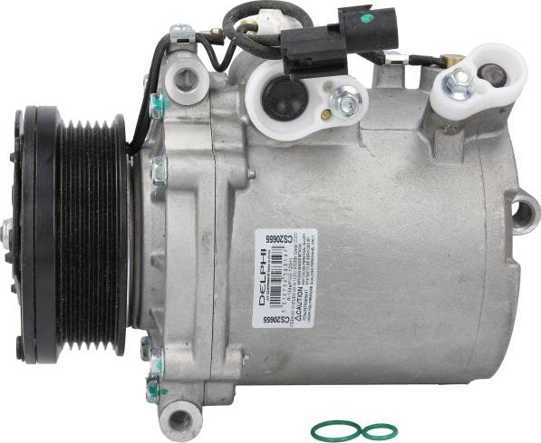 Delphi CS20655 - Компрессор кондиционера abcparts.ee