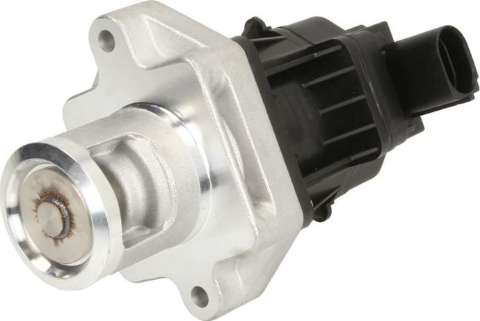 Delphi EG10496-12B1 - Клапан возврата ОГ abcparts.ee