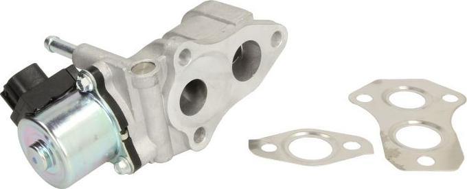 Delphi EG10440-12B1 - Клапан возврата ОГ abcparts.ee