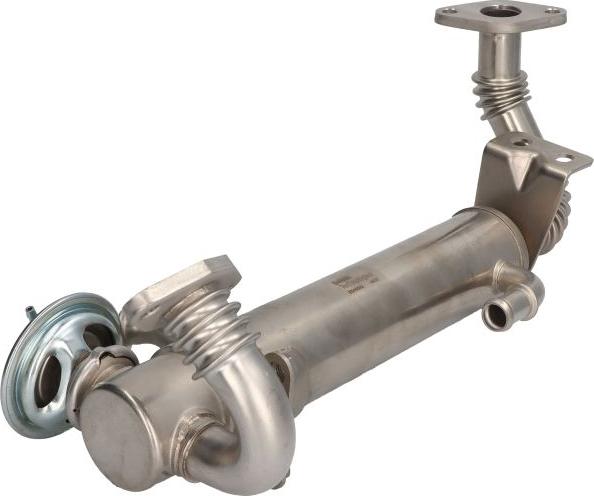 Delphi EG10582-12B1 - Клапан возврата ОГ abcparts.ee