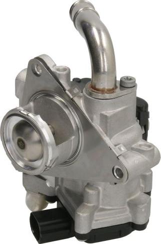 Delphi EG10608-12B1 - Клапан возврата ОГ abcparts.ee