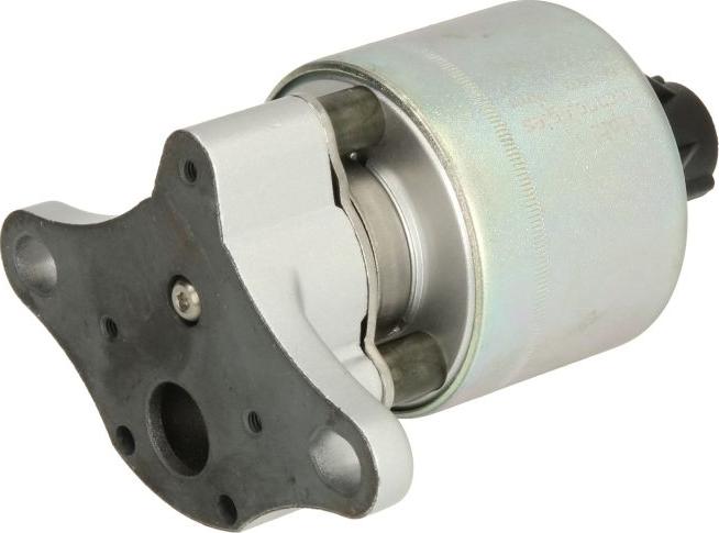 Delphi EG10397-12B1 - Клапан возврата ОГ abcparts.ee