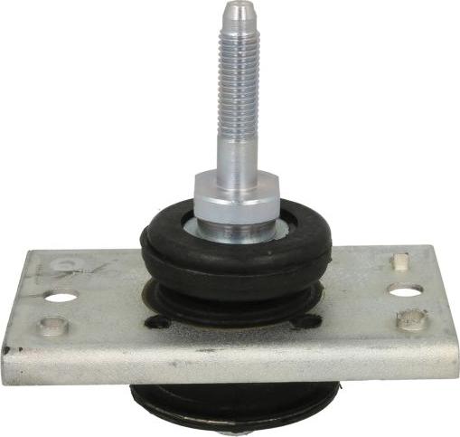 Delphi TEM026 - Подушка, опора, подвеска двигателя abcparts.ee