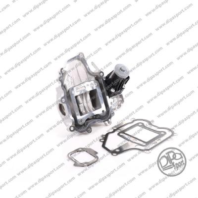 Dipasport EGR421N - Клапан возврата ОГ abcparts.ee