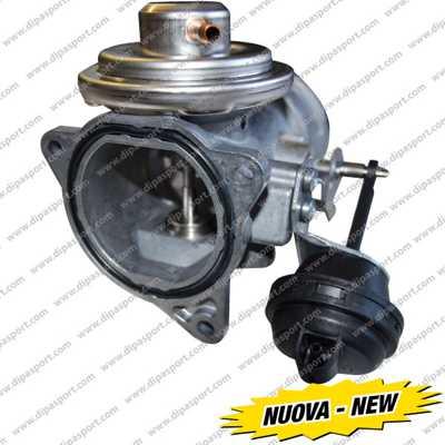 Dipasport EGR097N - Клапан возврата ОГ abcparts.ee