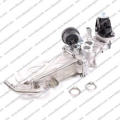 Dipasport EGR089PRBN - Клапан возврата ОГ abcparts.ee