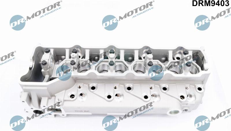 Dr.Motor Automotive DRM9403 - Головка цилиндра abcparts.ee