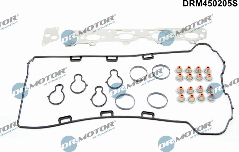 Dr.Motor Automotive DRM450205S - Комплект прокладок, двигатель abcparts.ee