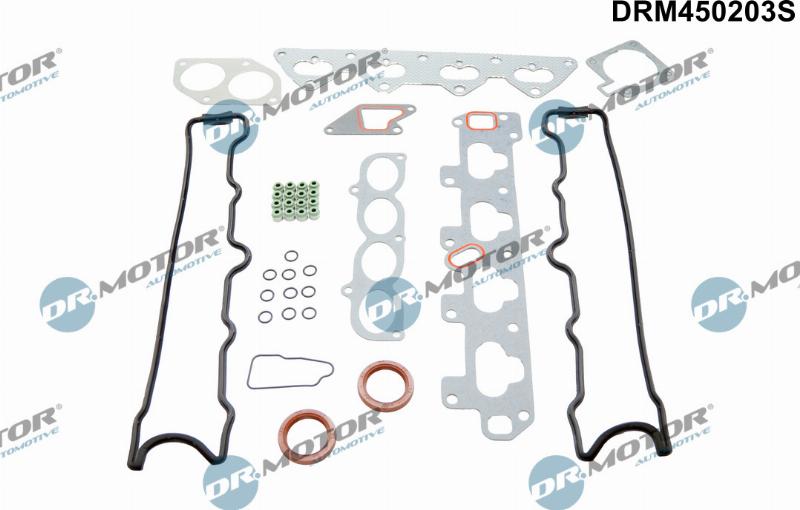 Dr.Motor Automotive DRM450203S - Комплект прокладок, двигатель abcparts.ee